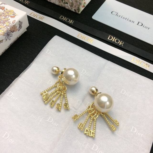 Dior Dior Letter Earrings New Arrival At The Counter, Absolutely Stunning, Elega