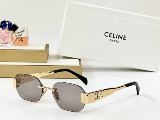 Celine Model: Cl42120U Size: 57-17-145