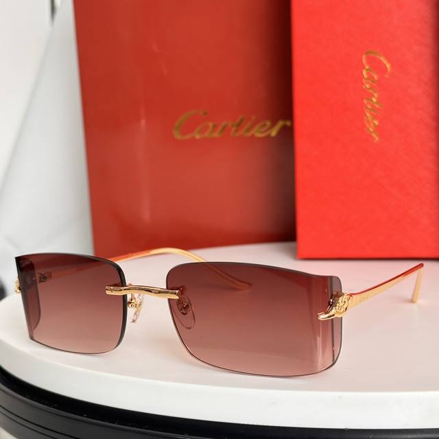 Cartier*Model: Ct0503S Size: 48 Mouth 21-135