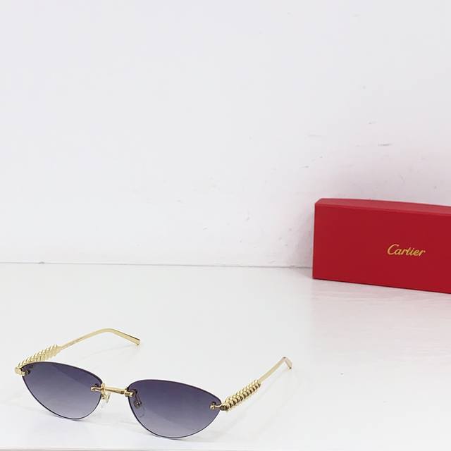 Cartier* Model: Ct0543S Size: 48Mm X 21-145Mm