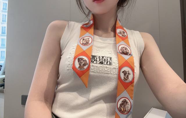 New Arrival, Herm S Silk Scarf, Collar And Dog, 18Mm Heavyweight Silk Twill, Aut