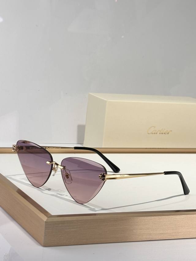 Photo Chromic Lenes Top Quality Cartier Ct0399S Size: 62Mm 15-145
