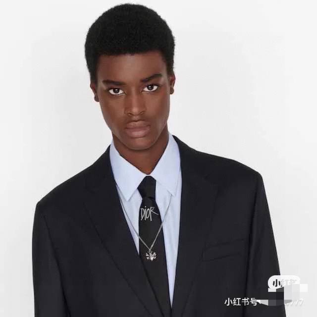 Special Dior Men's Cd Embroidered Label Tie, A Rare Choice That Showcases Exquis