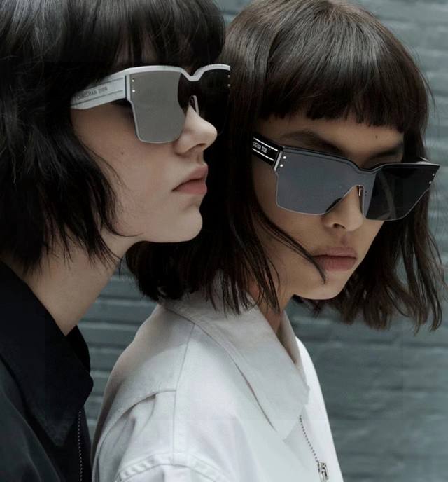 Dior Diorclub Full-Face Goggles, High Version, Featuring Dior Oblique Pattern De