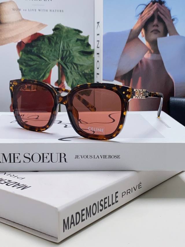 Celine Selin 2025 New Fashion Retro Arc De Triomphe Sunglasses, Classic Sun Glas