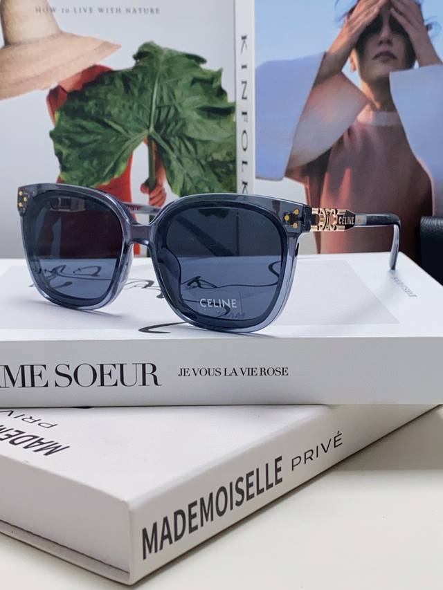 Celine Selin 2025 New Fashion Retro Arc De Triomphe Sunglasses Classic Sun Glass