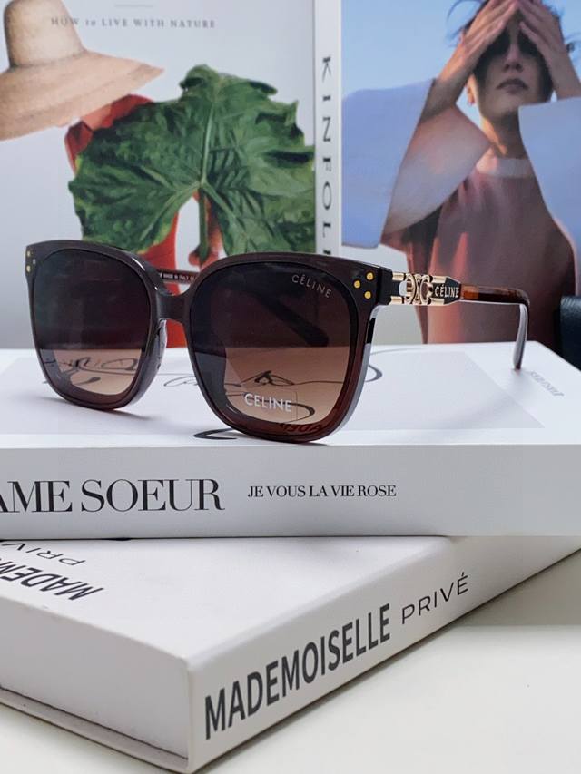 Celine Selin 2025 New Fashion Retro Arc De Triomphe Sunglasses Classic Sun Glass