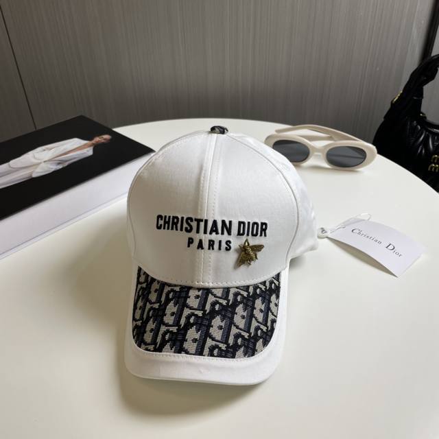 Comes With A Dust Bag. Dior New Arrival, Same As In Stores, Embroidered Minimali