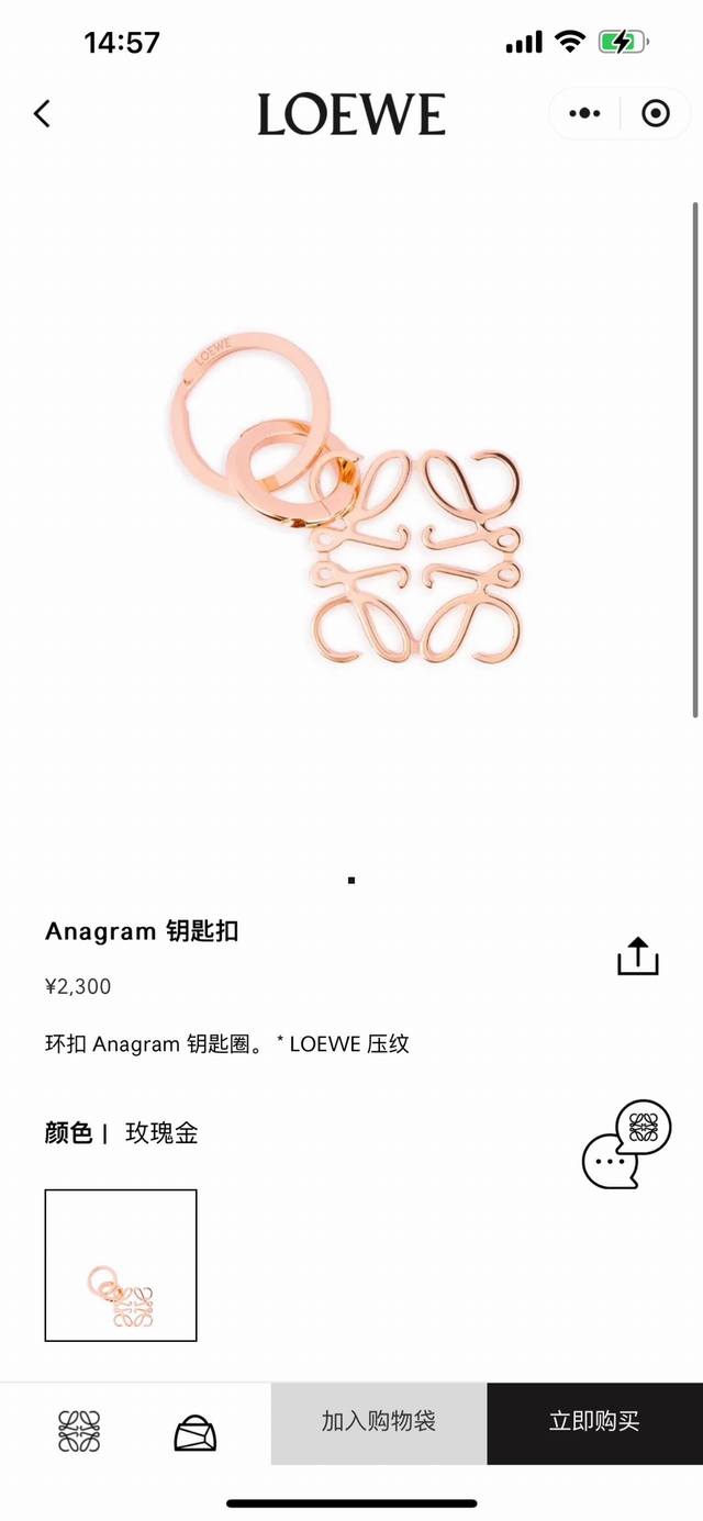Official Website Image - Wearing Image - Loewe Keychain