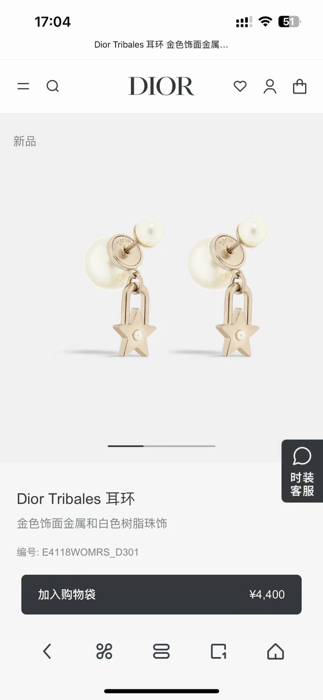 Dior New Dior New Earrings, A Favorite Of Top Luxury Brands, Metal Texture, Lett