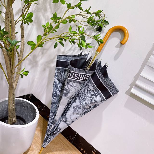 dior Long Umbrella Is Definitely A Great Benefit For Consumers This Year. Dio