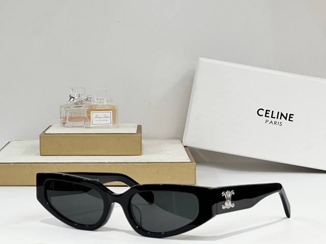 Celine Mod: Cl40269 Size: 54-19-135