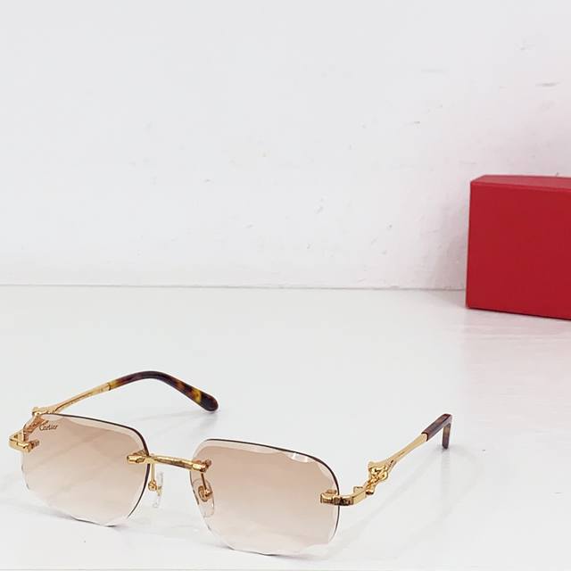 Sunglasses Photochromic Lenses Cartie*Model
