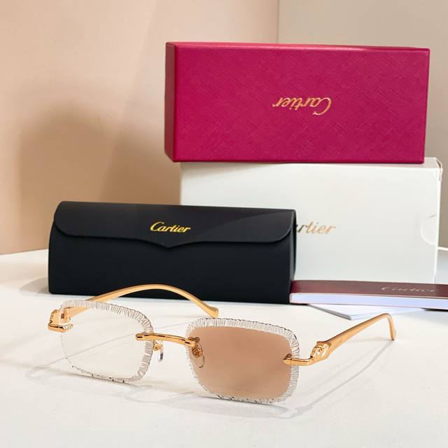 Sunglasses Photochromic Lenses Cartie*Model