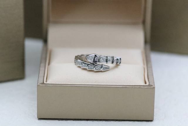 Hot-selling model recommendation Bvlgari Serpenti series silver full diamond sna