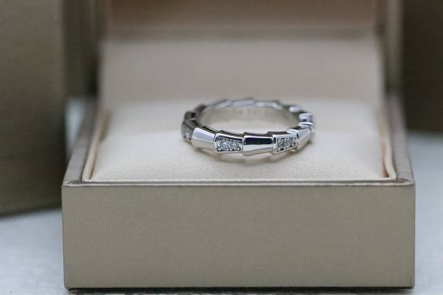 Hot-selling model recommendation Bvlgari Serpenti series silver interval diamond