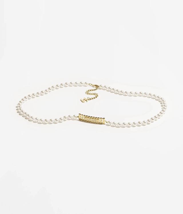 Chanel Chanel is so beautiful this season, especially this letter series waist c