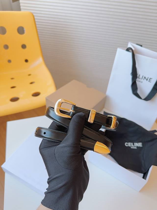 Celine's brand image is created by women, for women, and meticulously crafted fr