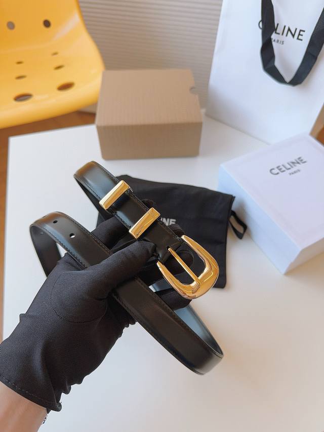 Celine's brand image is created by women, for women, and meticulously crafted fr