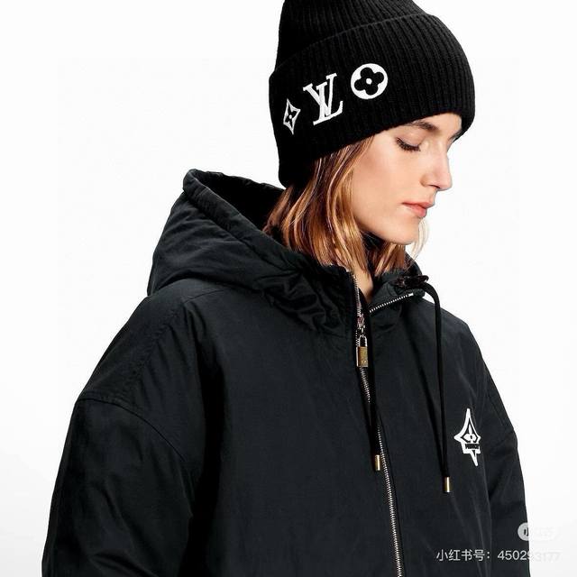 Lv knitted wool hat DDD