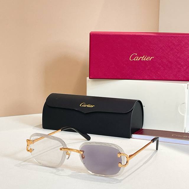 Sunglasses Photochromic LensesCartie*Model