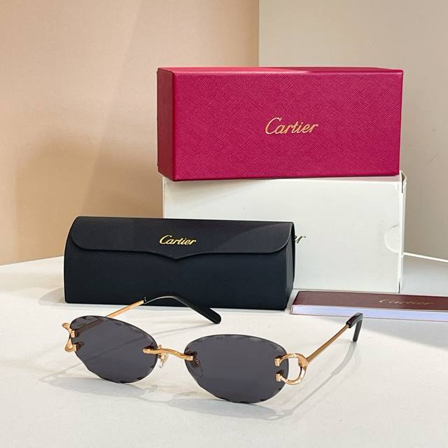 Sunglasses Photochromic LensesCartie*Model