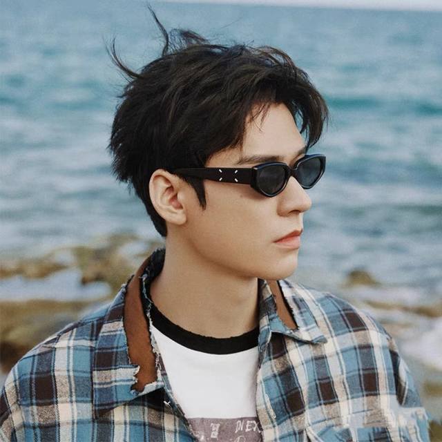 Song Jia and Wang Sulong's same sunglasses M205 fashion anti-ultraviolet cat's e