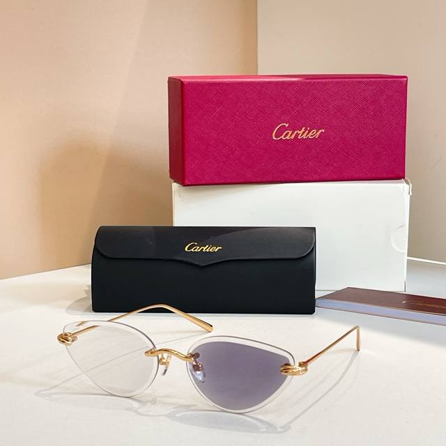 Sunglasses Photochromic Lenses Cartie*Model