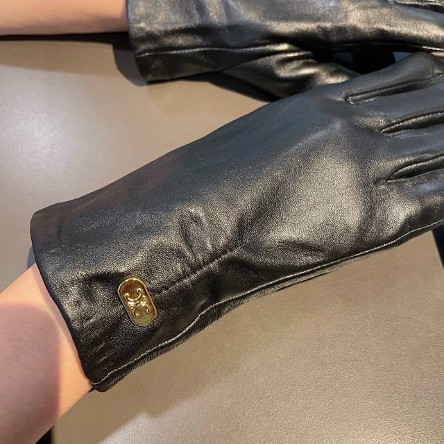 2025 New Exclusive First Launch of Touchscreen Gloves Celine Original Quality Of