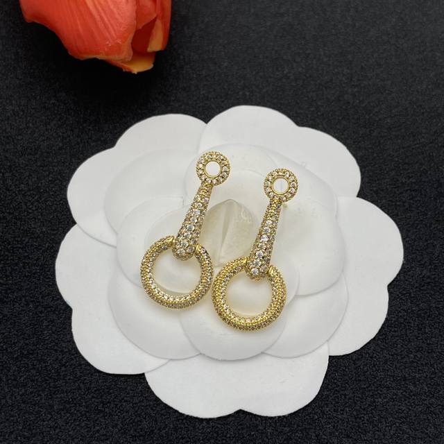 Hermes earrings Ddd
