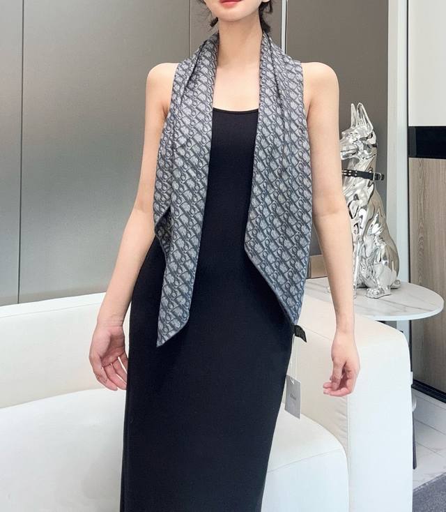 Dior 2025 Hot Selling Item. The Dior logo paired with a gray-blue color scheme e