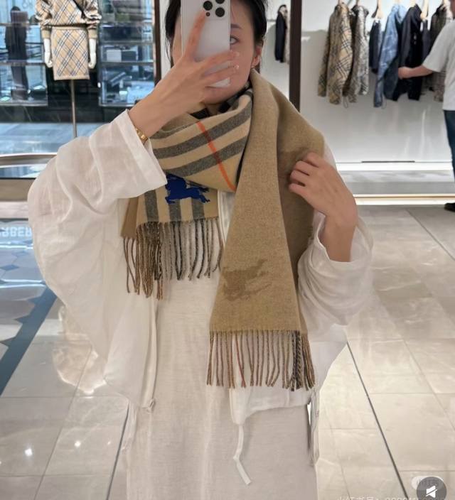 Latest B Double Embroidery Jacquard Scarf, High-Density Double-Sided Cashmere Pl