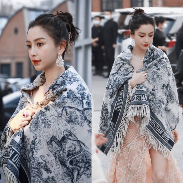 Dior's latest hot-selling shawl, the "Zoo" style oversized shawl, trust me, it's