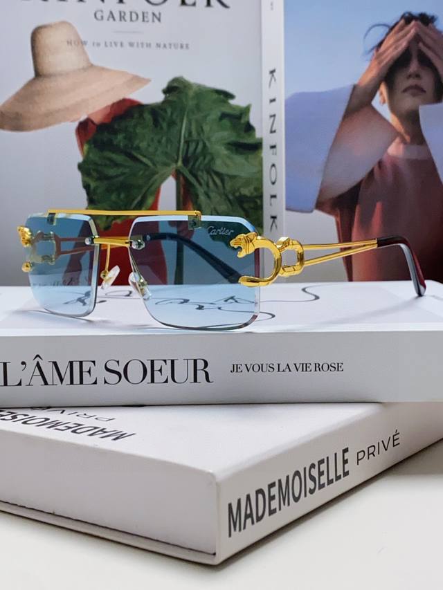 Cartier double-bridge frameless sunglasses, unique and elegant, unisex, extravag