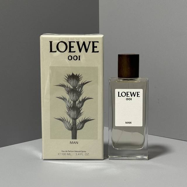 Original Quality Loewe Afternoon Men's Perfume 100ml Real Photos In Stock Loewe