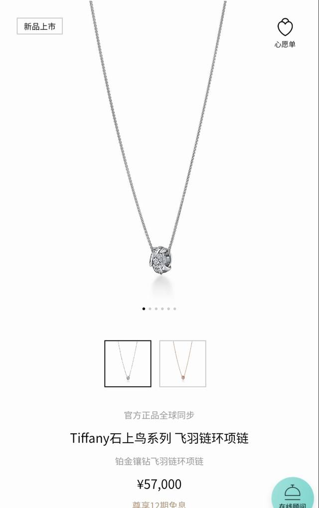 Tiffany Bird on a Rock Collection Feather Chain Necklace DDD